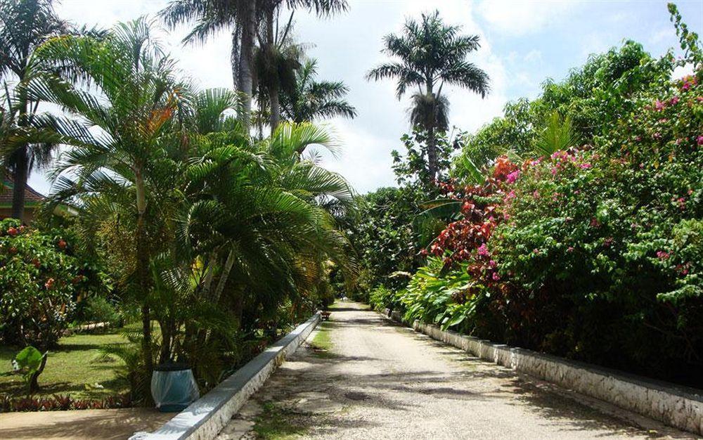 Pure Garden Resort Negril Exterior photo